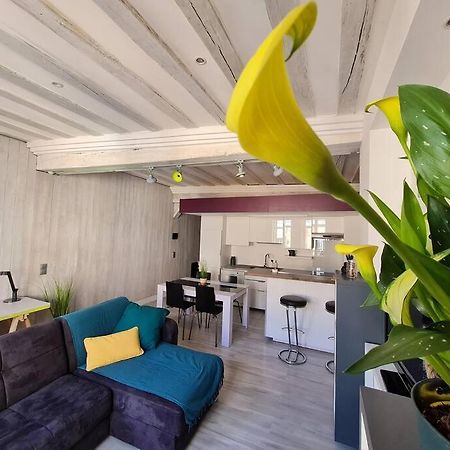 Apartament T2 D'Architecte A Troyes Zewnętrze zdjęcie